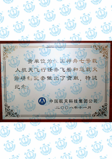 神舟七号铜牌